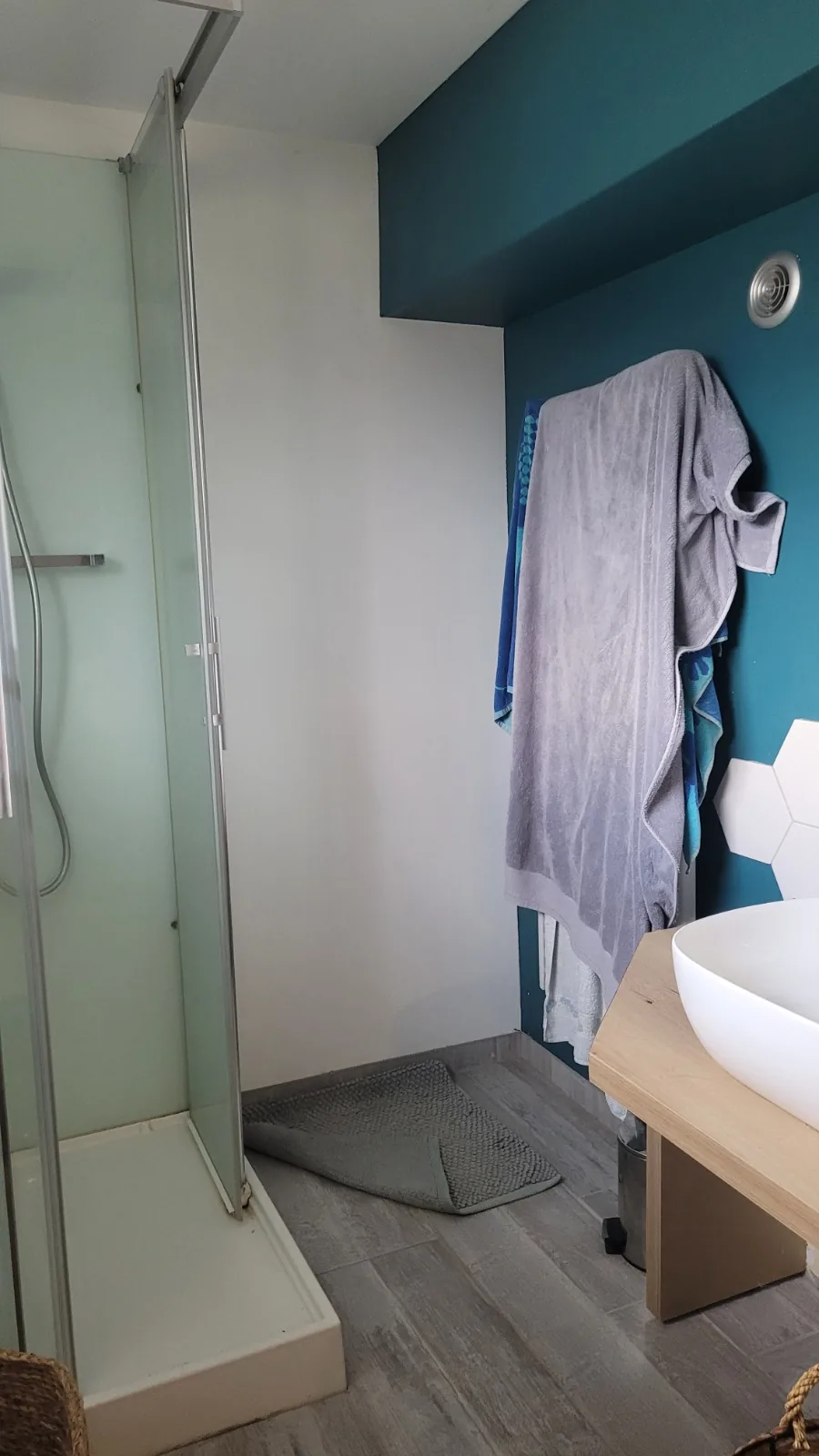 Brison — Salle d'eau & WC avant